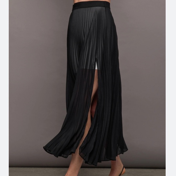 CARBON38 Mesh Pleated Skirt - Picture 2 of 5